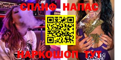 прущие грибы Бийск