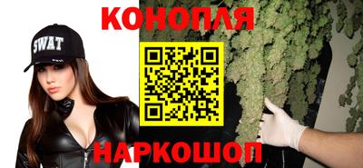 прущие грибы Бийск