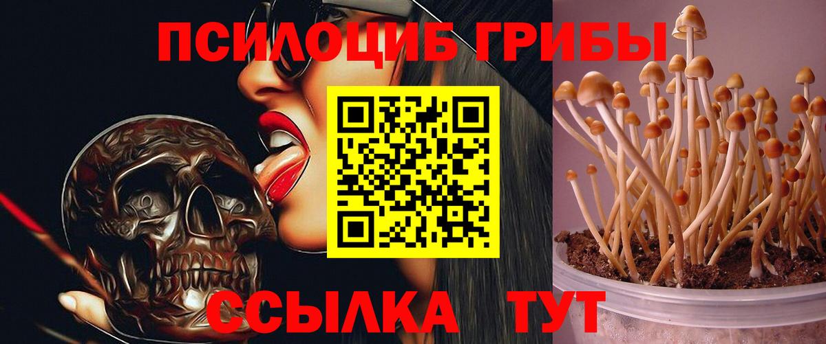Псилоцибиновые грибы мухоморы  Вход с VPN  Псилоцибиновые грибы ЛСД  Кинель 