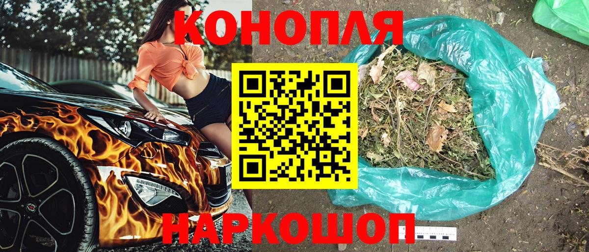 Конопля гибрид Кинель